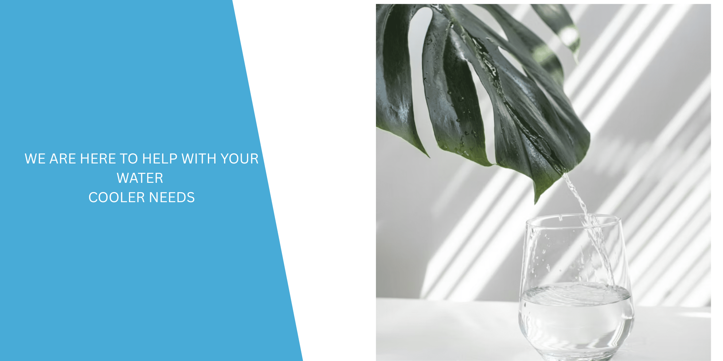 Promoting drinking water with rainfall falling off a houseplant leaf into a glass.